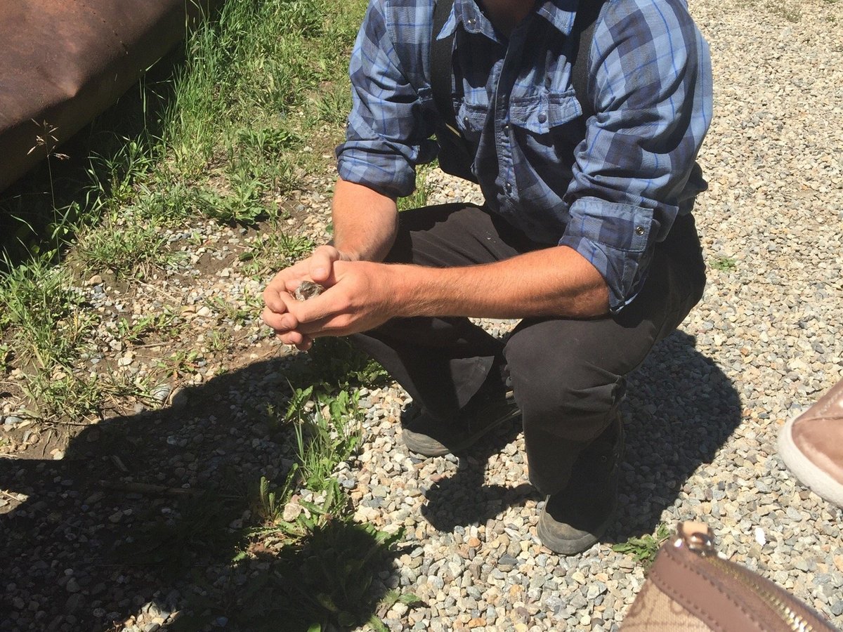 Gold Panning in Lomax Gulch