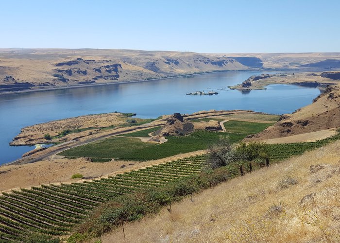 View of Columbia River Gorge from Stonehenge Memorial