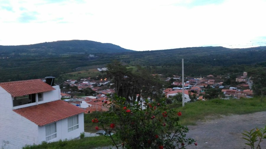 Vista desde mi habitación