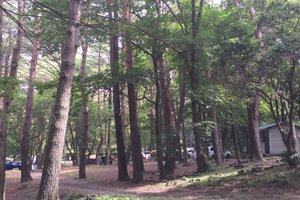 客室 & スイート