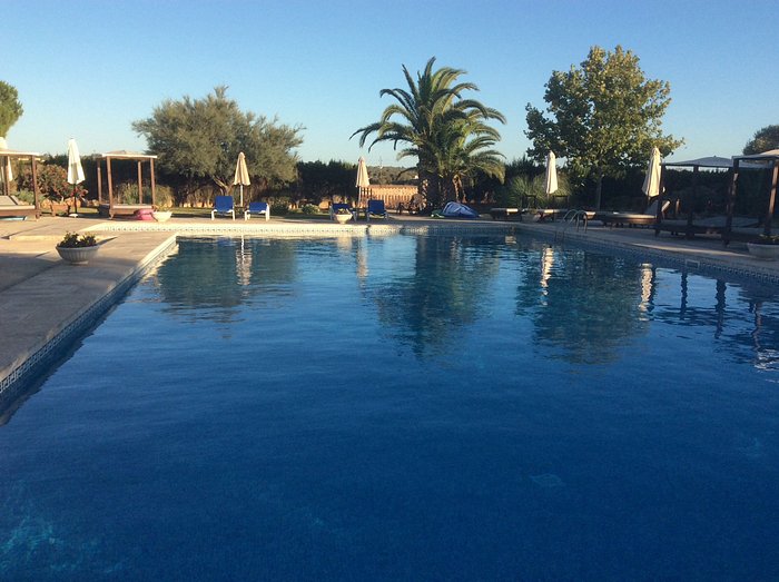 Skinny Dippers Boutique Hotel Pool Pictures & Reviews - Tripadvisor