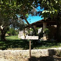 Agriturismo Fica Torta