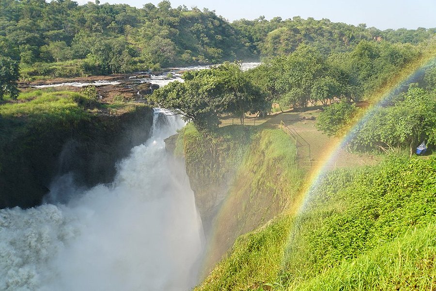 Waterfall Cruises - Murchison Falls image