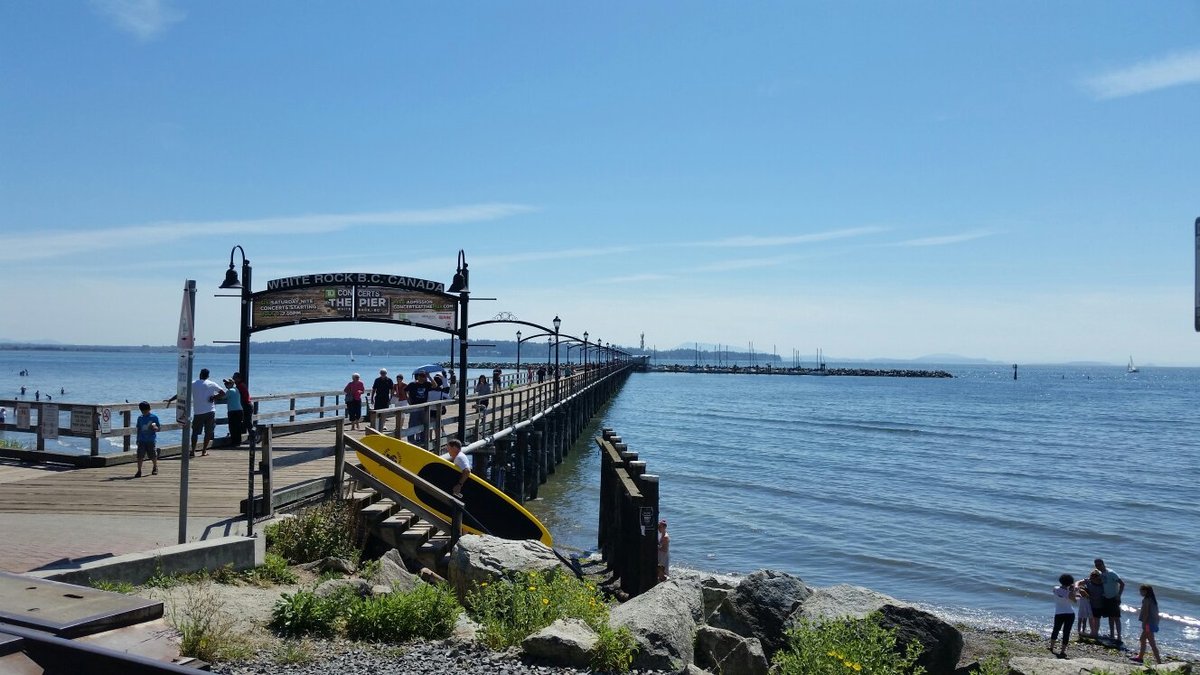 are dogs allowed on white rock beach