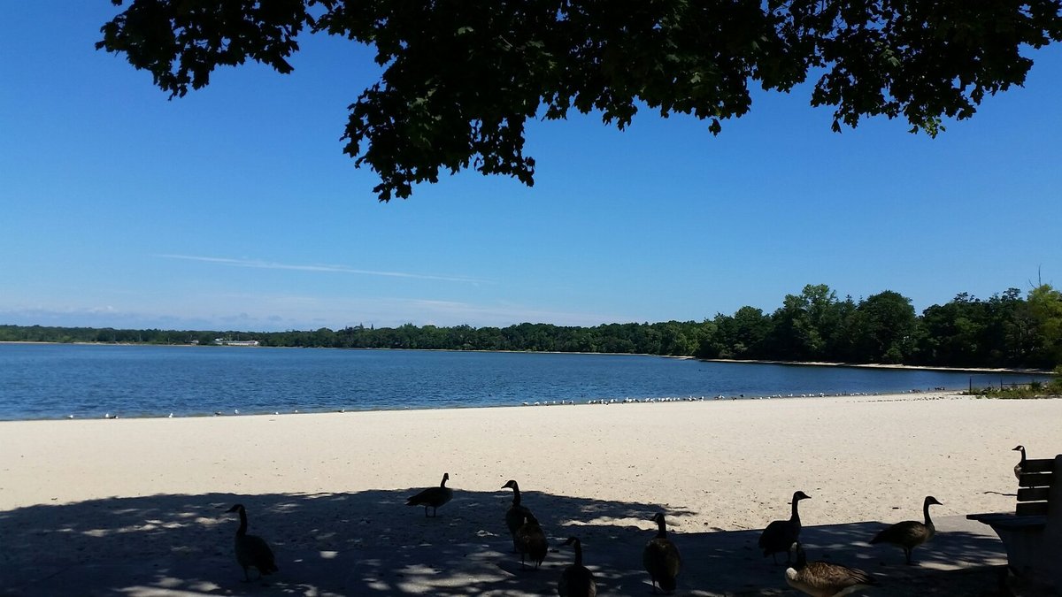 The Best Hotels In Lake Ronkonkoma, Ny 2024 - Tripadvisor