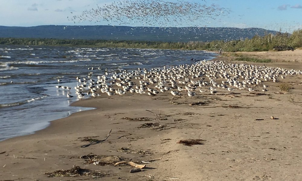 slave-lake-2021-best-of-slave-lake-alberta-tourism-tripadvisor