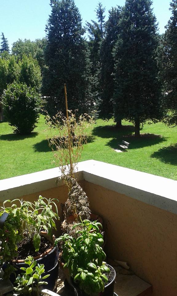 B&B PARCO DEI CEDRI - Lodge Reviews (Imola, Italy)