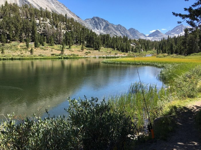 EAST FORK CAMPGROUND (МаммотЛейкс) отзывы, фото и сравнение цен