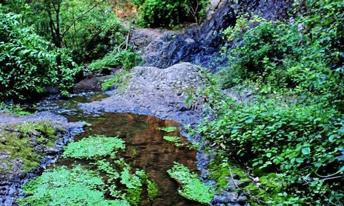 Transcurso del barranco