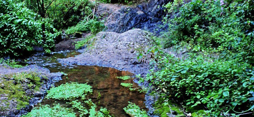 Transcurso del barranco