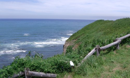 Coastline