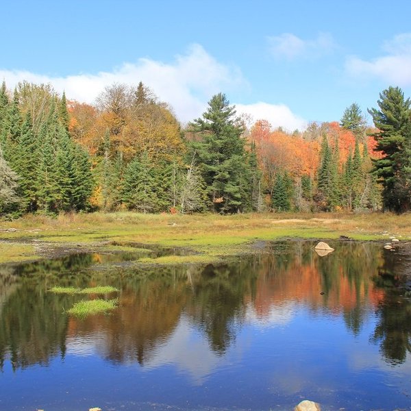 BEAVER POND TRAIL (Algonquin Provincial Park) - All You Need to Know ...