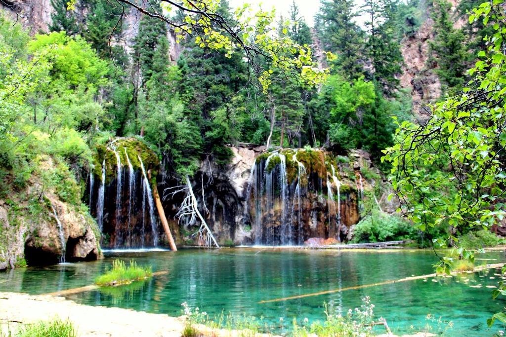 are dogs allowed at hanging lake