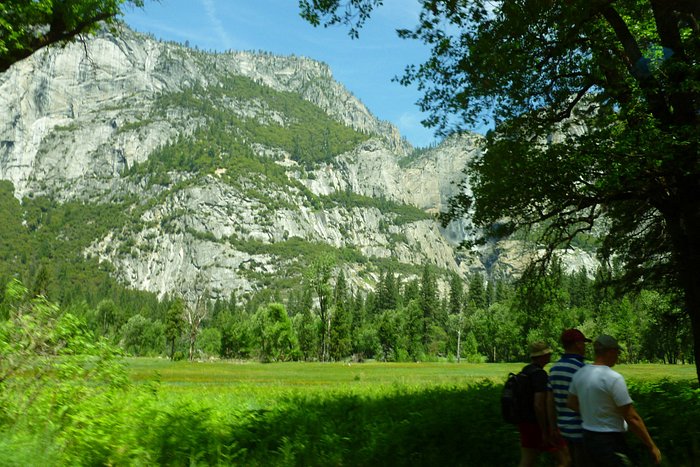 Yosemite CA