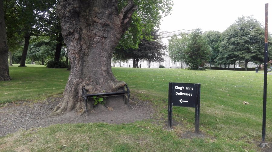 The hungry tree