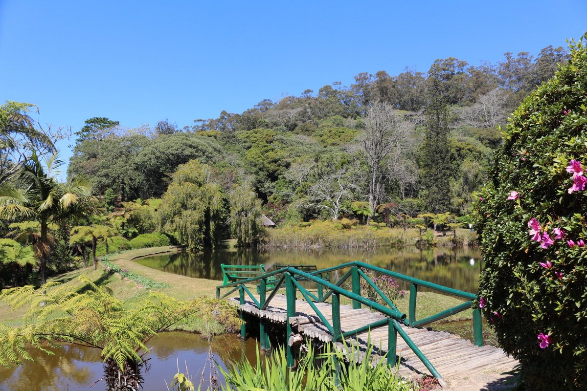 Vumba Botanical Gardens and Reserve (Mutare) - 2022 Alles wat u moet ...