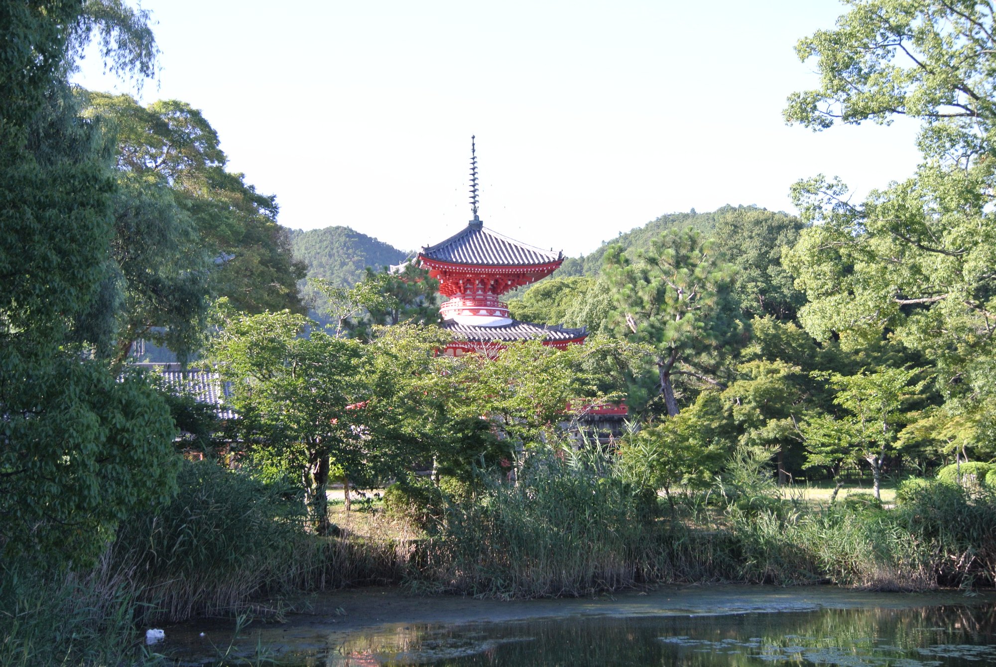 2021年 大沢池 - 行く前に！見どころをチェック - トリップアドバイザー