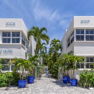 pompano pet lodge fort lauderdale