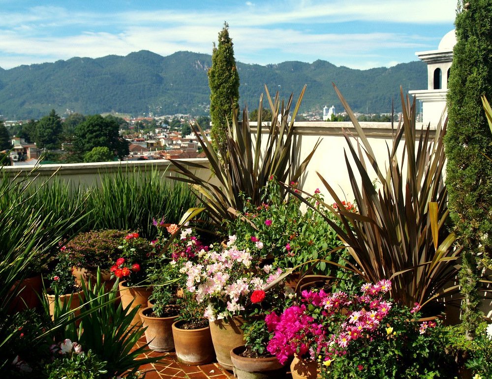La Joya Hotel San Cristóbal by null