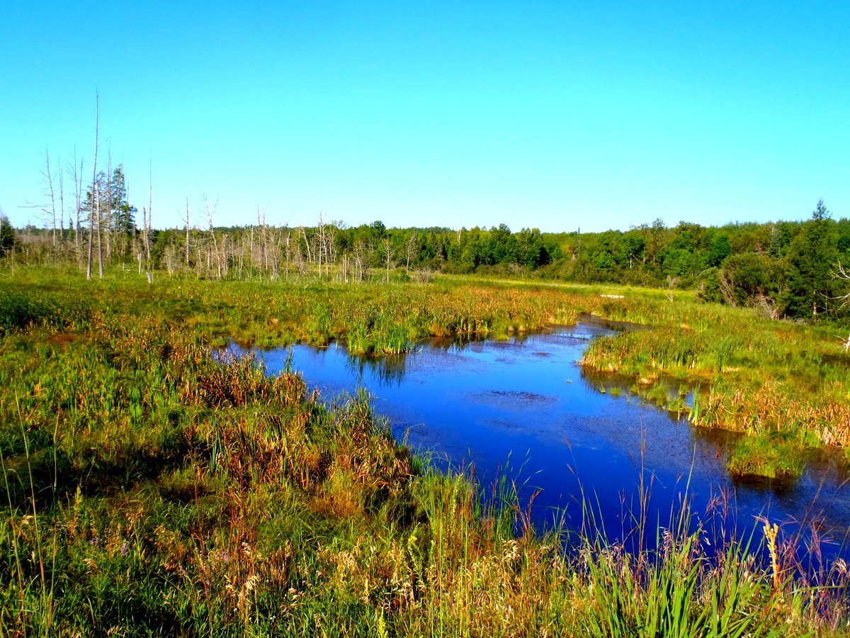 St. Paul District > American Wetlands Month > Fens