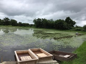じゅんさい沼