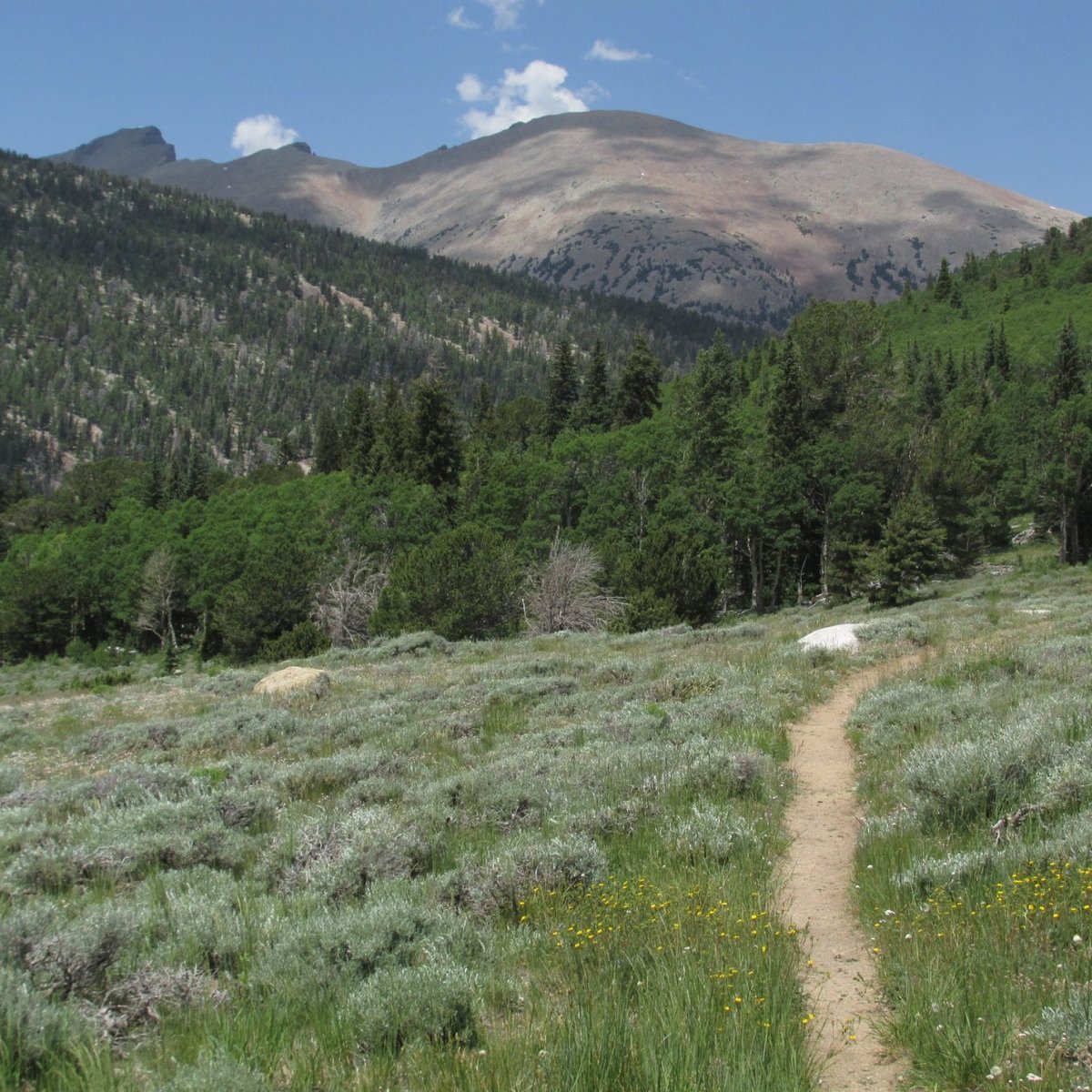 baker creek preserve mountain biking