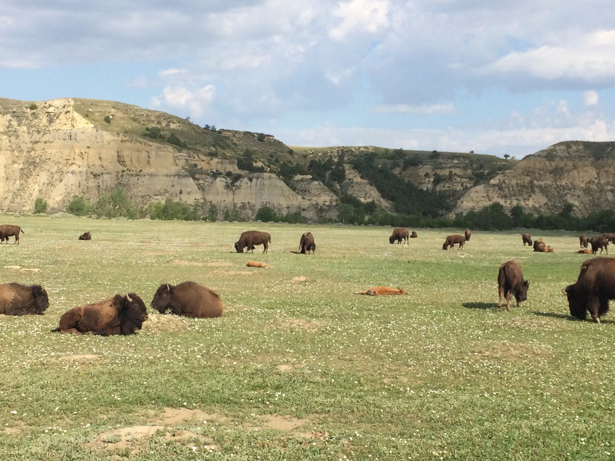 BOOTS CAMPGROUND Updated 2020 Reviews MEDORA CAMPGROUND Updated 2020 Prices