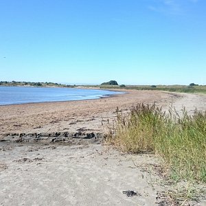Hansagårds strand 20160817.