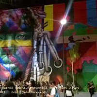 Painel ETNIAS de Eduardo Kobra, Rio de Janeiro - RJ - Foto : Cida Werneck