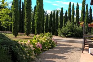 Viaggiatori