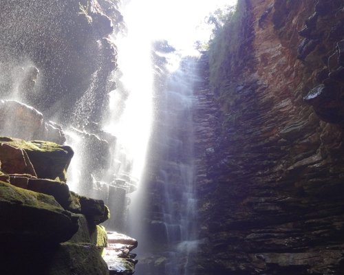 Help in the farm and nursery activities in Chapada Diamantina, Bahia