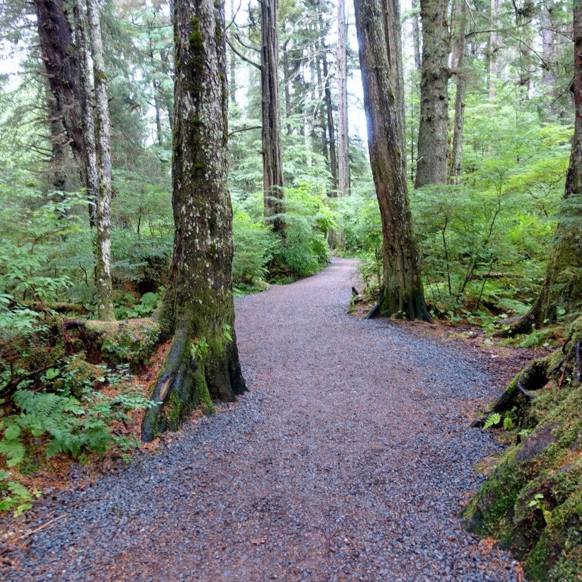 Sitka National Historic Park/Totem Park - All You Need to Know BEFORE ...