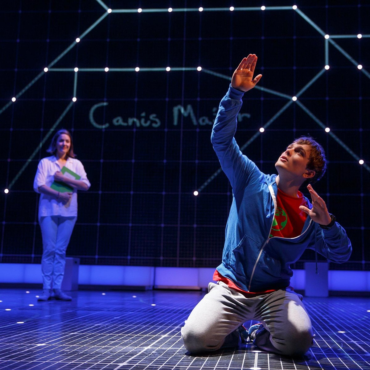 the-curious-incident-of-the-dog-in-the-night-time-new-york-city-all