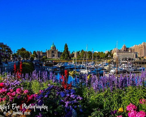 THE 15 BEST Things to Do in Victoria - 2024 (with Photos) - Tripadvisor