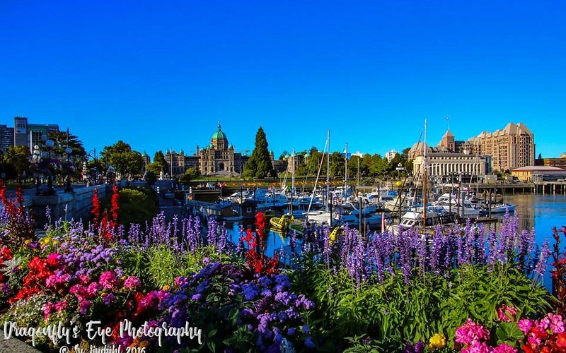 THE 15 BEST Things to Do in Vancouver Island - UPDATED 2021 - Must See