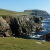 Things To Do in Shetland Wildlife, Restaurants in Shetland Wildlife