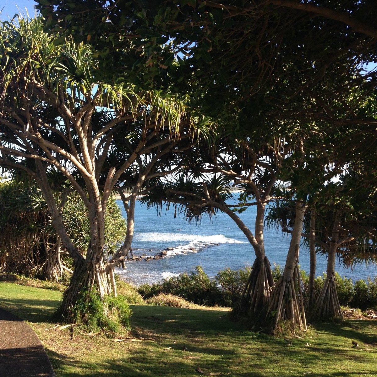 Moffat Beach (2025) All You MUST Know Before You Go (with Reviews)