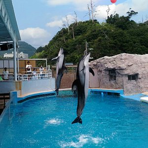 下田市で雨の日に楽しめるイチ押しの屋内観光スポット トリップアドバイザー