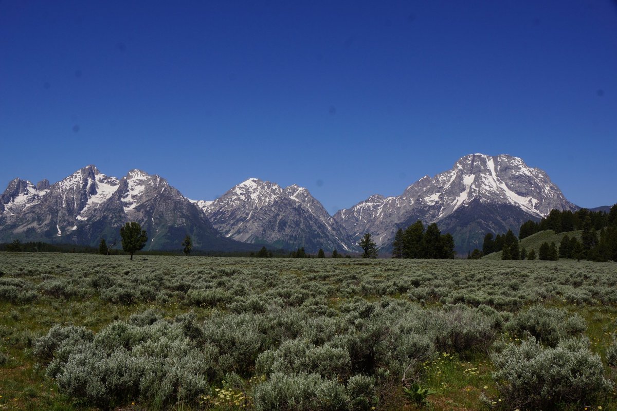 Teton Point Turnout (Moose) - All You Need to Know BEFORE You Go