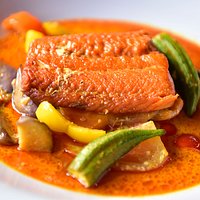 salmon