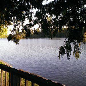 Eastward looking view of White Lake from the desk of Cottage 4