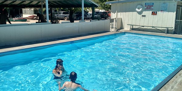Can You Swim In Clear Lake Ca 2019 Clear Lake Campground Updated 2020 Prices Reviews Lake County Ca Clearlake Tripadvisor