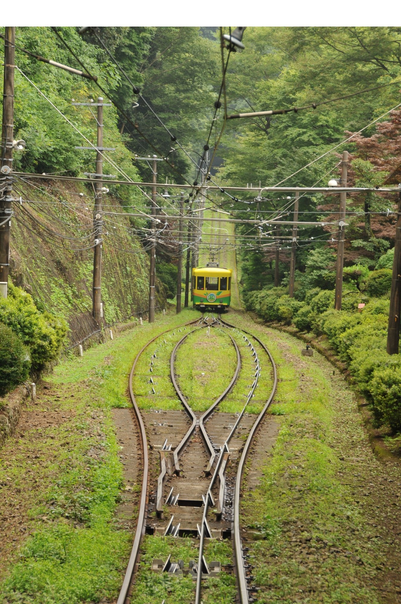 yoneso-honkan-hachioji-tokyo-prefecture-minshuku-reviews-photos