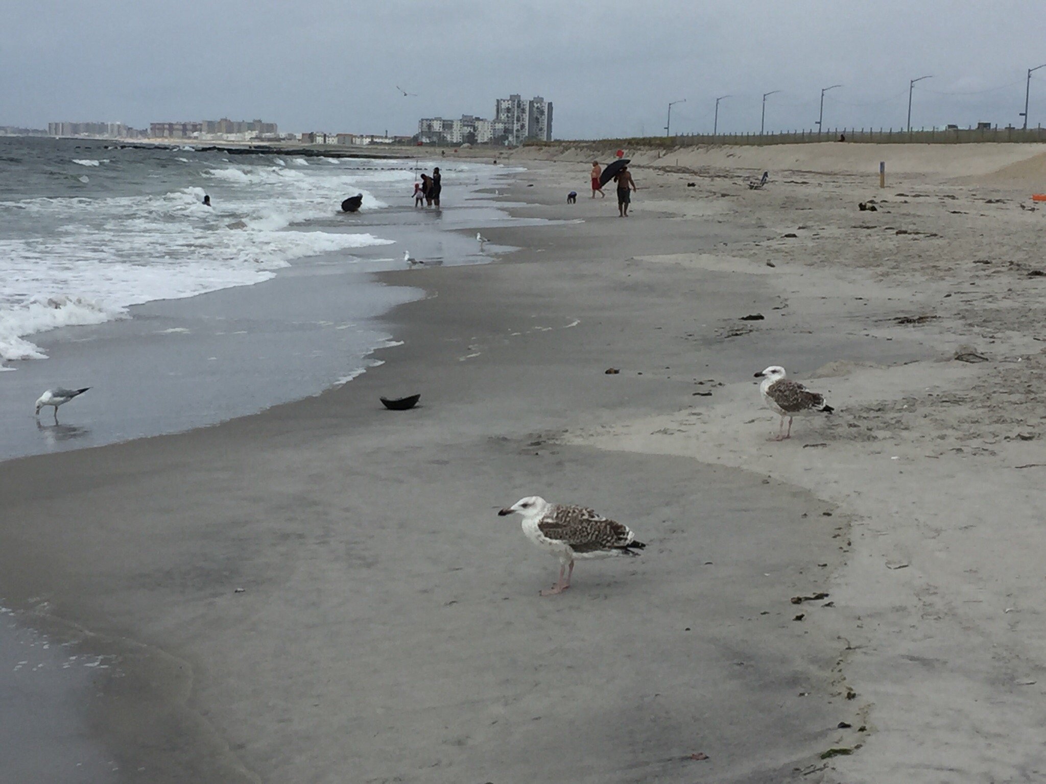 LA QUINTA INN SUITES BY WYNDHAM FAR ROCKAWAY