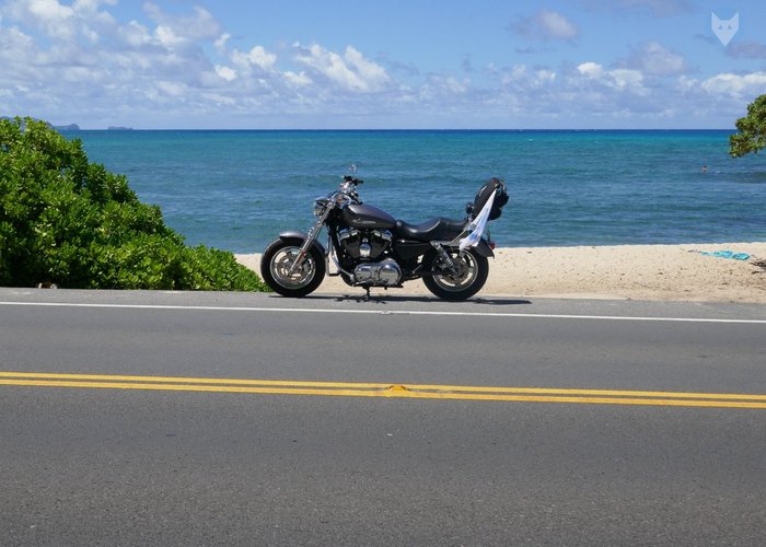 Chase Hawaii Rentals - All You Need to Know BEFORE You Go (with Photos)