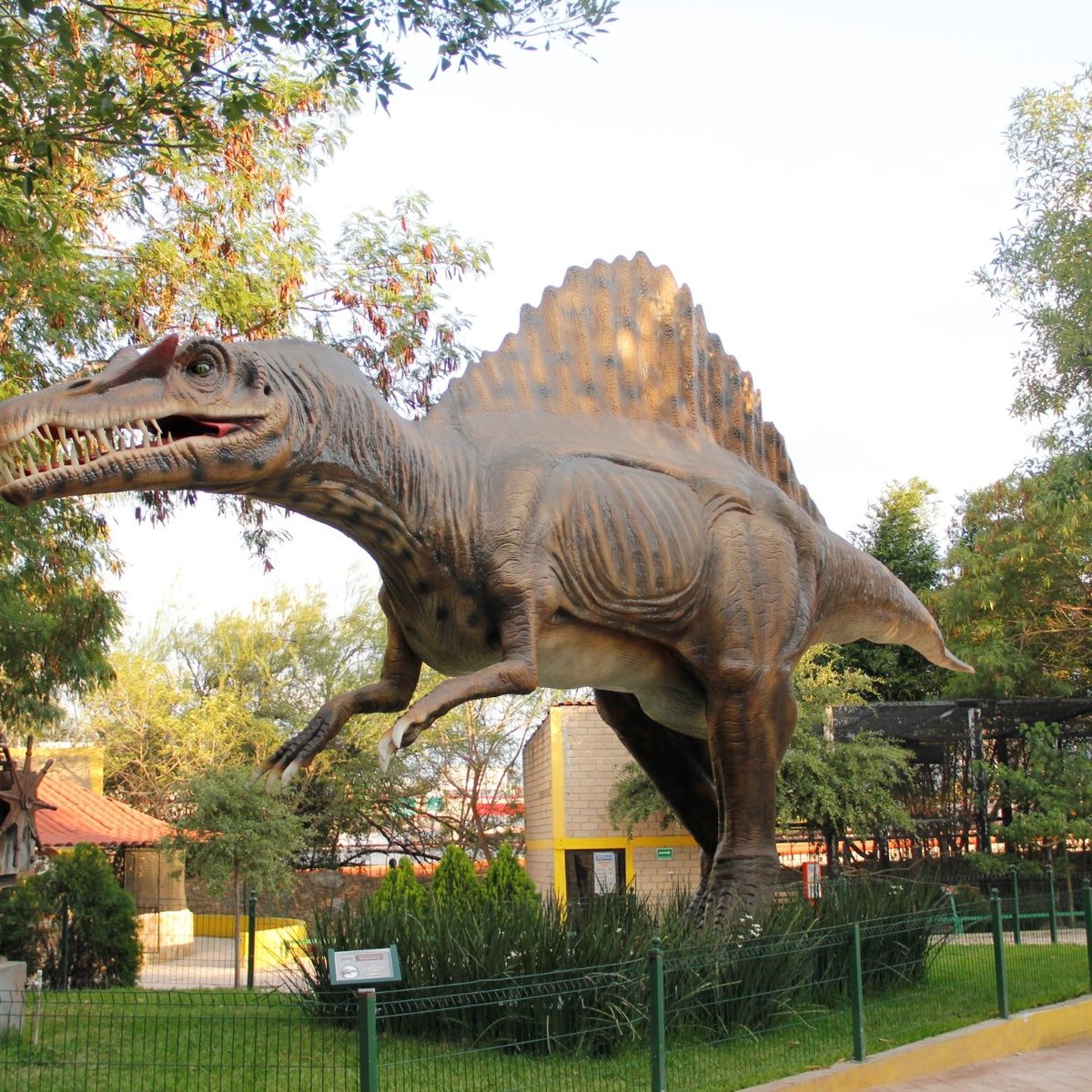 Loroventura (Monterrey) - Lo que se debe saber antes de viajar - Tripadvisor