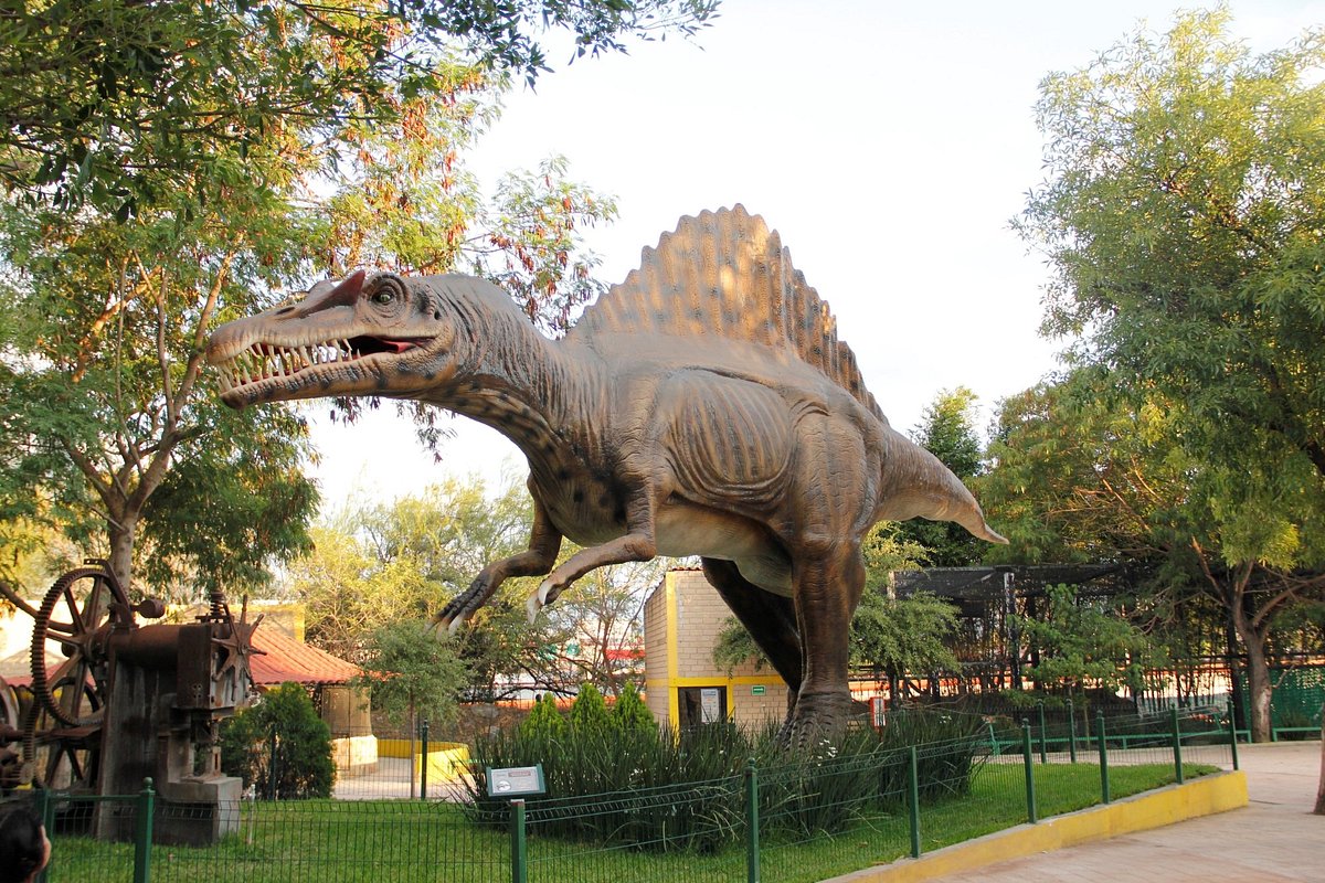 Loroventura (Monterrey) - 2023 Lo que se debe saber antes de viajar - Tripadvisor Loroventura (Monterrey) - 2023 Lo que se debe saber antes de viajar - Tripadvisor