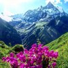 Top 6 Things to do in Annapurna Region, Western Region