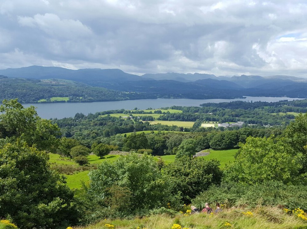 THE 10 BEST Things to Do in Lake District (2024)