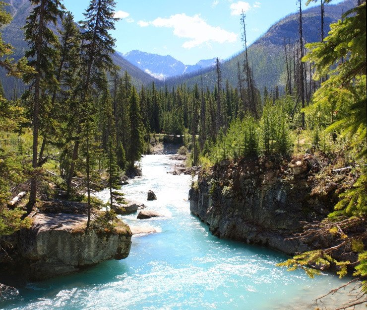 Marble canyon hike 2025 kootenay national park